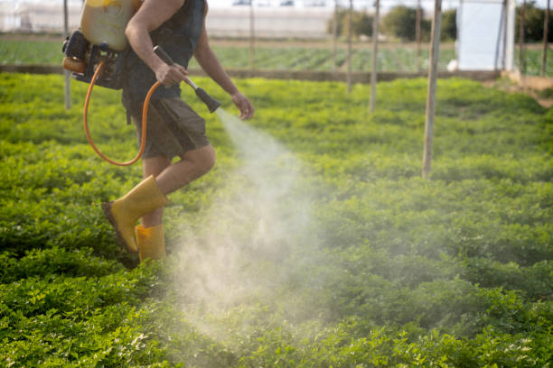 Best Best Pest Control Companies  in Centerville, PA